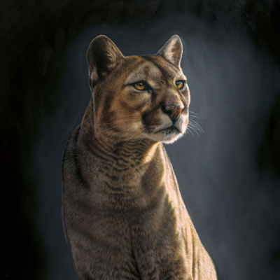 Inca by Kirsten Mirrey